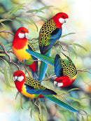 Parrots 5D Diamond Painting DIY Embroidery Cross Stitch Home Decor