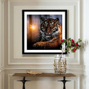 5D DIY Full Round Drill Diamond Painting Novelty Tiger Cross Stitch (B1105) A