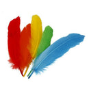 Approximately 50 pcs Colored Multi-colored Goose Down 12 to 18 cm