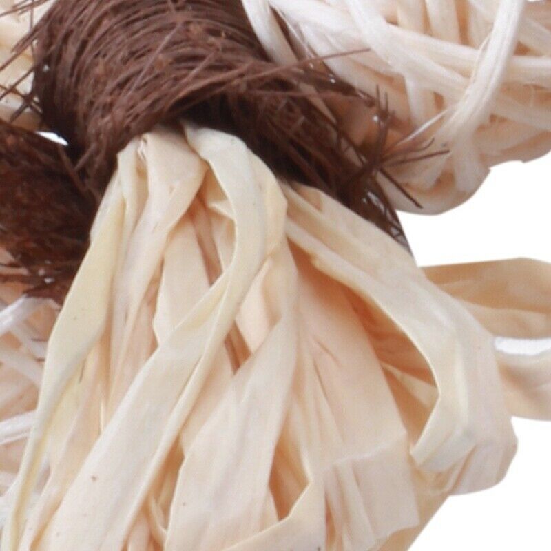 Pet Parrot Conure Cockatiel Parakeet Budgie Bird Chew Bites Swing Cages ToysR7M6