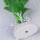 Green aquarium plants water grass ornament plant fish tank plastic decoration 3c