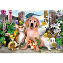 5D DIY Full Drill Diamond Painting Cross Stitch Mosaic Craft Kits (Pets04)