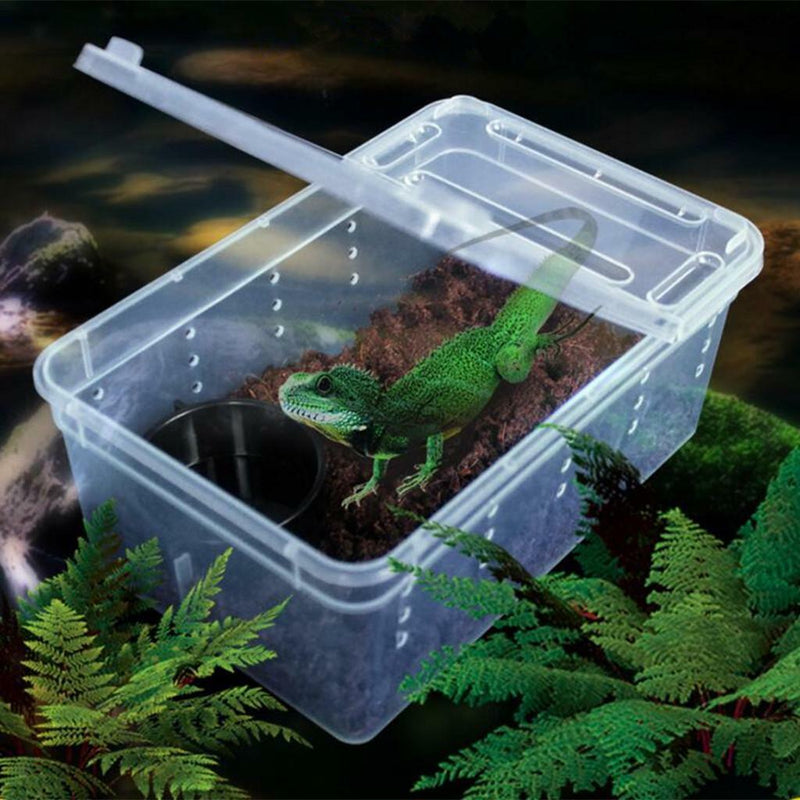 Feeding Container for Reptiles Snakes Insects Spider Tarantula Tanks Box H3
