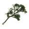 Diorama Decorations 5 Pieces