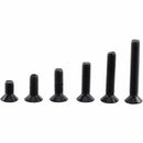250 Pcs/Set M3 Screws Nuts Alloy Steel Hex Socket Screws Bolt With Hex Nuts