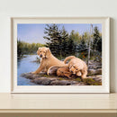 Animal 5D DIY Full Round Drill Diamond Painting Cross Stitch Mosaic (C1417)