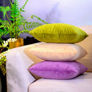 2x Decorative Velvet Both Sides Pillow Case Soft Suede