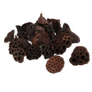 60pcs Natural Dried lotus pod Flowers Fruit for floral decor crafts DIY