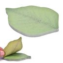 Green Leaf Fall Kraft Paper Sticky  Green For Kids Work Or Study MO