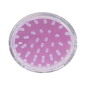 Hair Massage Brush Shampoo Scalp Head Shower Massage Comb Massager Cleaning