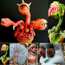 100pcs Mixed Succulent Seeds Stone Bonsai Flower Seed Garden Pot Plants