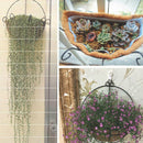 12" 30cm Hanging Basket Liners Basket Plant Fiber Liners For Flower Pots US Ew