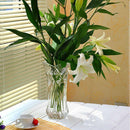 Glass Flower Vase Roses Lily Foral Hydroponic Terrarium Container Bottle Pot
