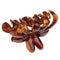 Brown Hair Claw Clamp Clips Acrylic Barrette Hair Accessory Hairwear Holder