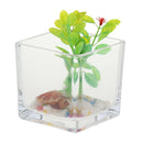 Square Transparent Glass Bowl Clear Vase Fish Turtle Tank Jar Wedding Decor