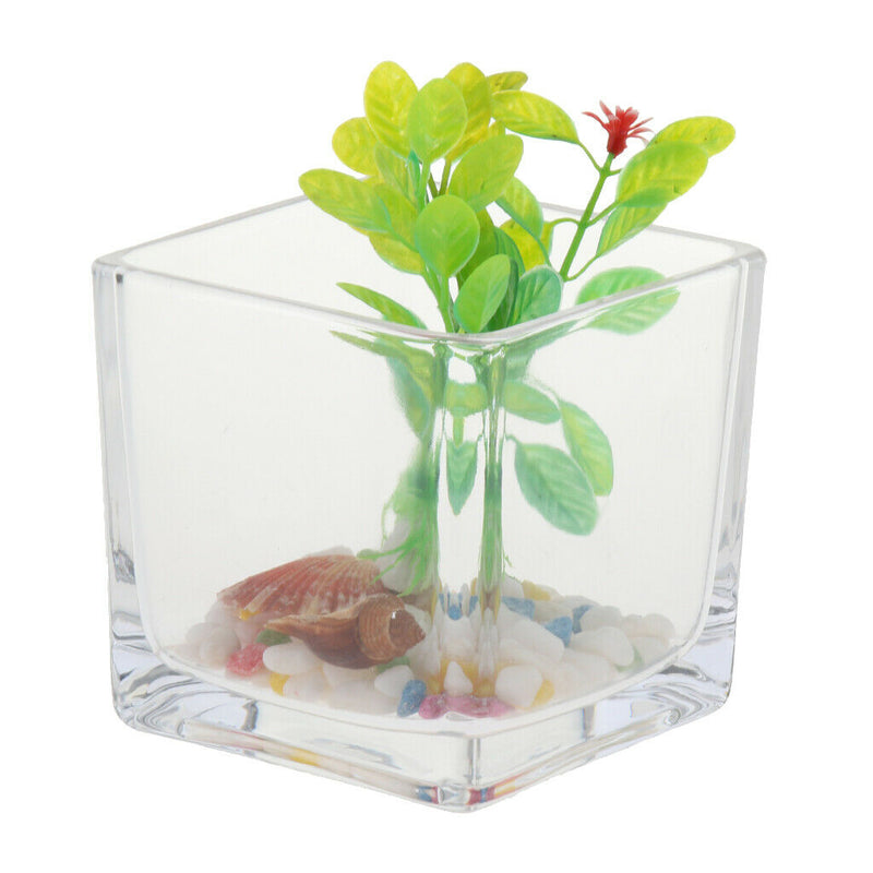 Square Transparent Glass Bowl Clear Vase Fish Turtle Tank Jar Wedding Decor