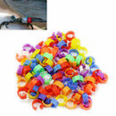 100pcs Bird Chick Duck Parrot Pigeon Plastic Hens Poultry Dove Clip Leg Rings