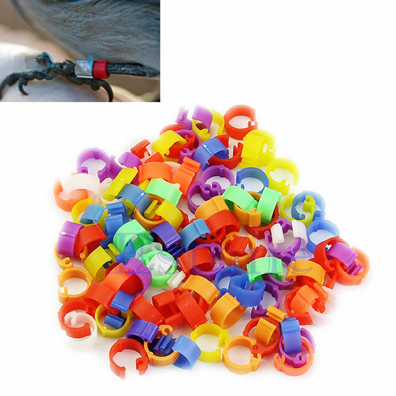 100pcs Bird Chick Duck Parrot Pigeon Plastic Hens Poultry Dove Clip Leg Rings
