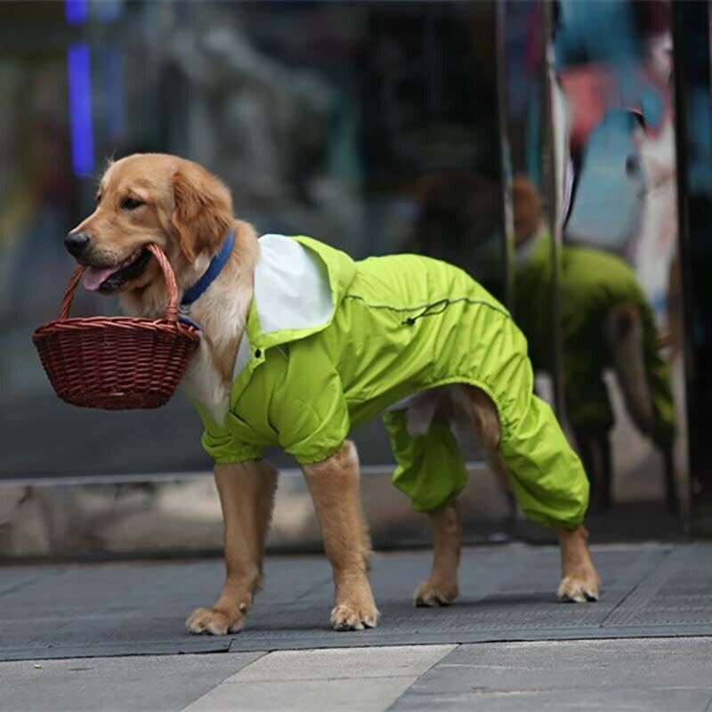 Large Dog Raincoat Hooded Golden Retriever Clothes Medium Big Dog Rain Coat