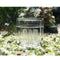 8 Holes Aquarium Tank Catcher Trap Tube Trapper For Planaria Worm Leech