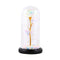 Beautiful Eternal Rose LED Light Rose In Glass Dome with Foam for Valentine'P6E2