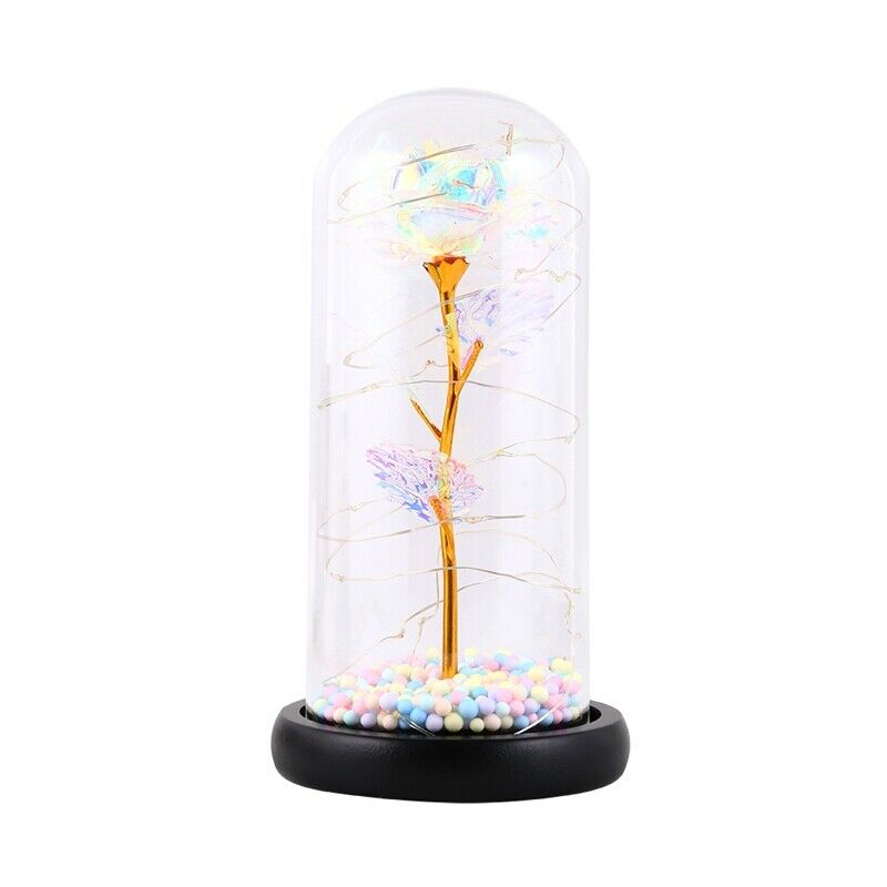 Beautiful Eternal Rose LED Light Rose In Glass Dome with Foam for Valentine'P6E2