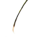Fly Tying Peacock Herl Pack 3 to 7 Inch Feathers Wire Tying Materials %o