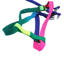 Adjustable Pet Dog Puppy Rainbow Harness Lead Leash Cat Rabbit Kitten Colla