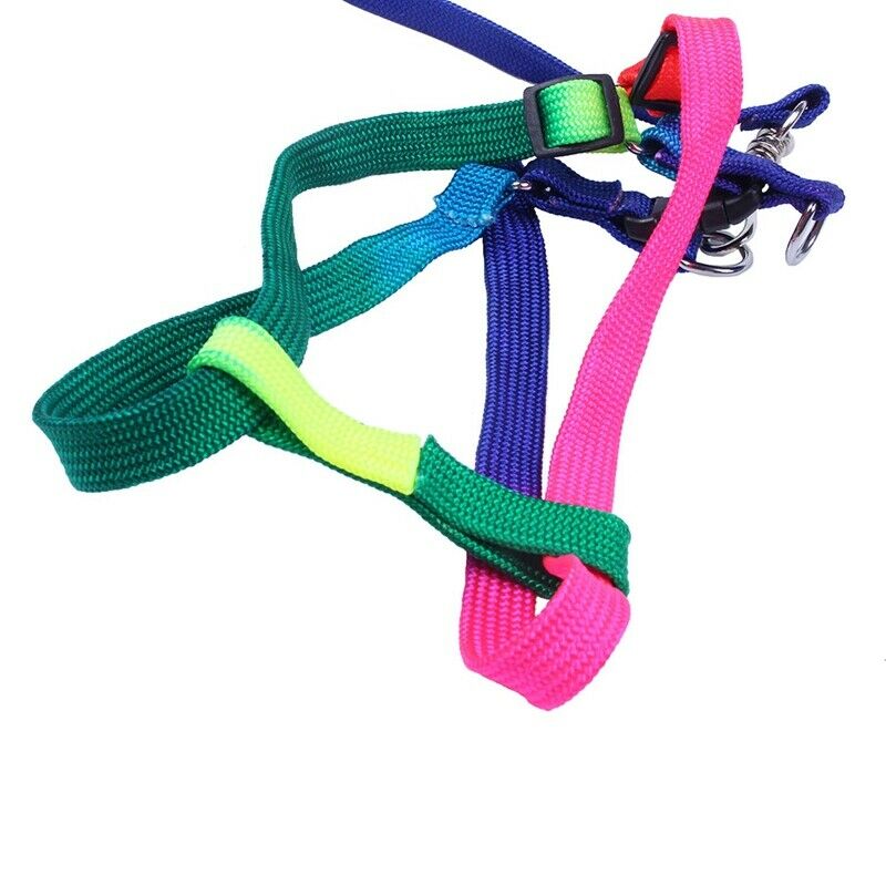 Adjustable Pet Dog Puppy Rainbow Harness Lead Leash Cat Rabbit Kitten Colla