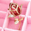 Women 's Elegant and fashionable bow brooch Brooch Pin Crystal Rhinestone R F4E6