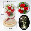 LED Night Lights Ornaments Three Rose Flower Glass Dome Fairy String Lights