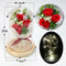 LED Night Lights Ornaments Three Rose Flower Glass Dome Fairy String Lights