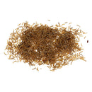 Carp Fishing Baits High Protein Worms Lures Dry Maggots for  /Bird/Pets