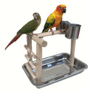 Pet Parrots Playstand Bird Playground Perch Gym Training Stand Bird Toys