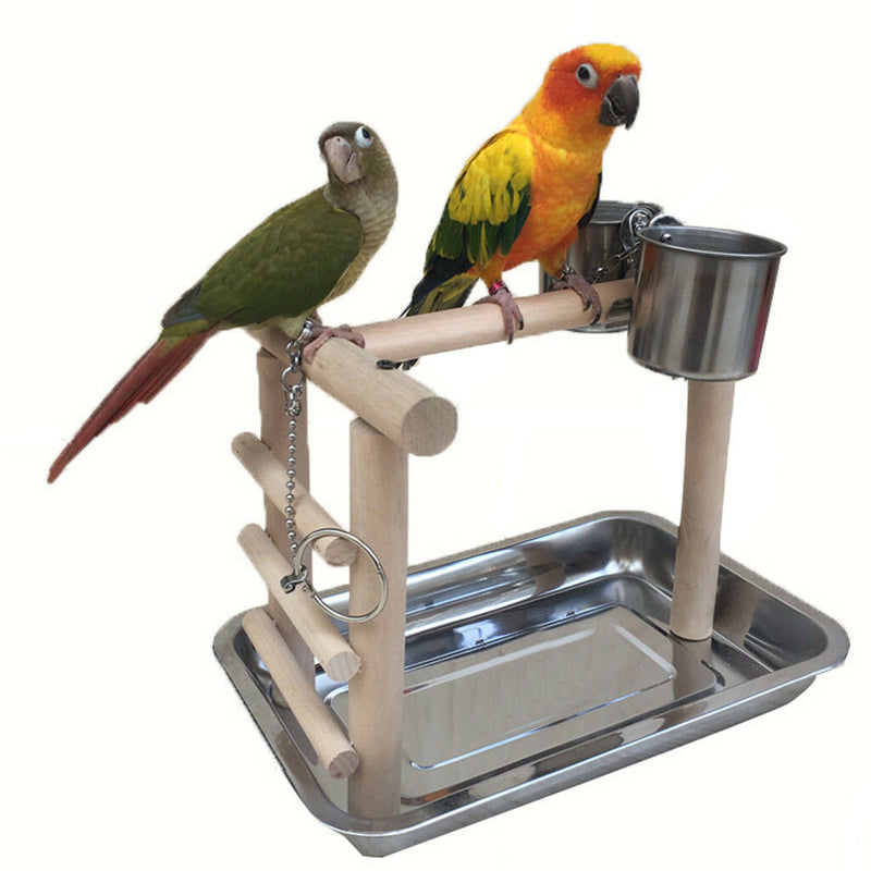 Pet Parrots Playstand Bird Playground Perch Gym Training Stand Bird Toys