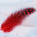 50pcs Mixed Color Simulation feather S7X1