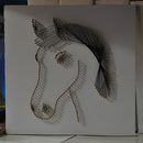 Animal Horse String Art kit for Teens Students Learn to Make Winding Nail