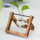 Wooden Stand Transparent Glass Plant Containers Standing Hydroponics Plant