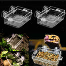 2 Pieces Transparent Tortoise  Reptile Water Food
