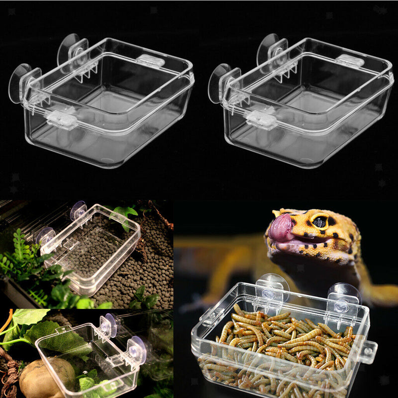 2 Pieces Transparent Tortoise  Reptile Water Food