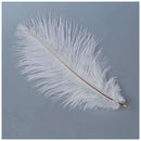 10 Pieces White Natural Ostrich Feather 20-25cm Wedding DIY A3Z6
