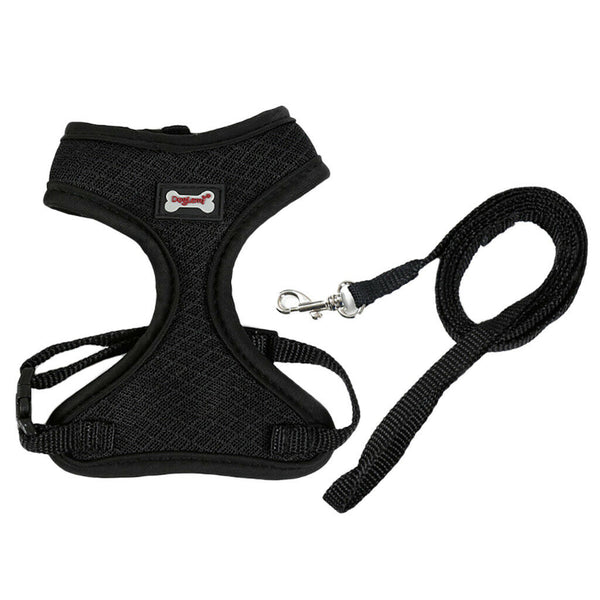 Set of 2, Pet Cat Kitten Soft & Comfy Made Well 120cm/3.94ft Leash Puppy Dog