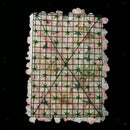 Rose Flower Champagne Silk Flower Wedding Venue for Wall Panel Ornaments