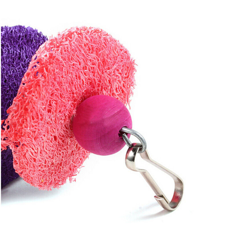 Easy Luffa Pet Bird Parrot Macaw Bell Swing Scratcher Parrot Bites   OZ