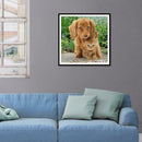 5D DIY Full Drill Diamond Painting Animals Cross Stitch Kit Wall Art (W241)