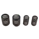 Upgraded High RPM Engine Valve Springs with Stem Seals 250CC for Scooter