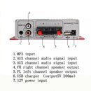 High Power Easy Operate Audio Amplifier Space Saving Digital Car Mounted Mini