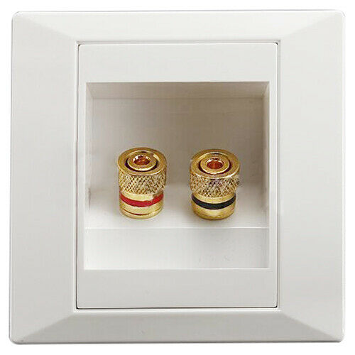 86x86mm 2 Binding Post Banana Plug Audio Jack Wall Face Plate Panel Speaker K3P1