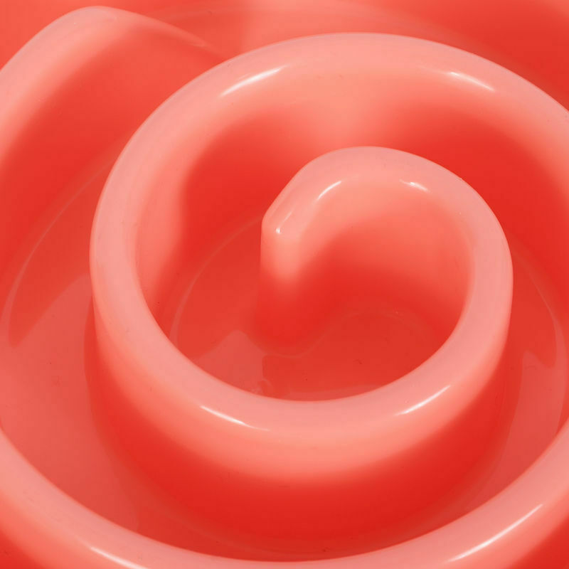 Pet Dog Feeding Food Bowls Puppy Slow Down Eating Feeder Dish Bowel Prevent