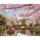 DIY Digital Oil Painting By Numbers River Peach Blossom Landscape Picture